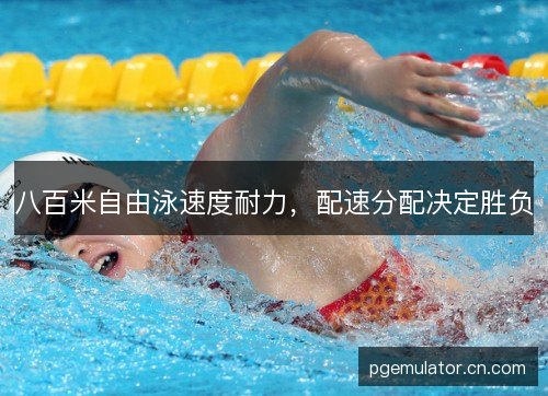 八百米自由泳速度耐力，配速分配决定胜负
